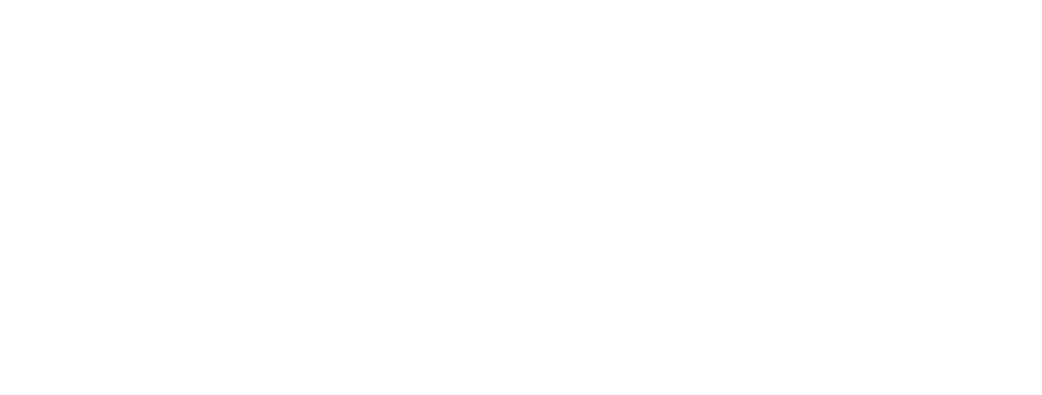 Januss Developers