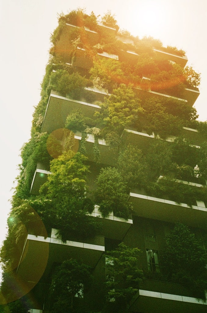 Building a Greener Tomorrow