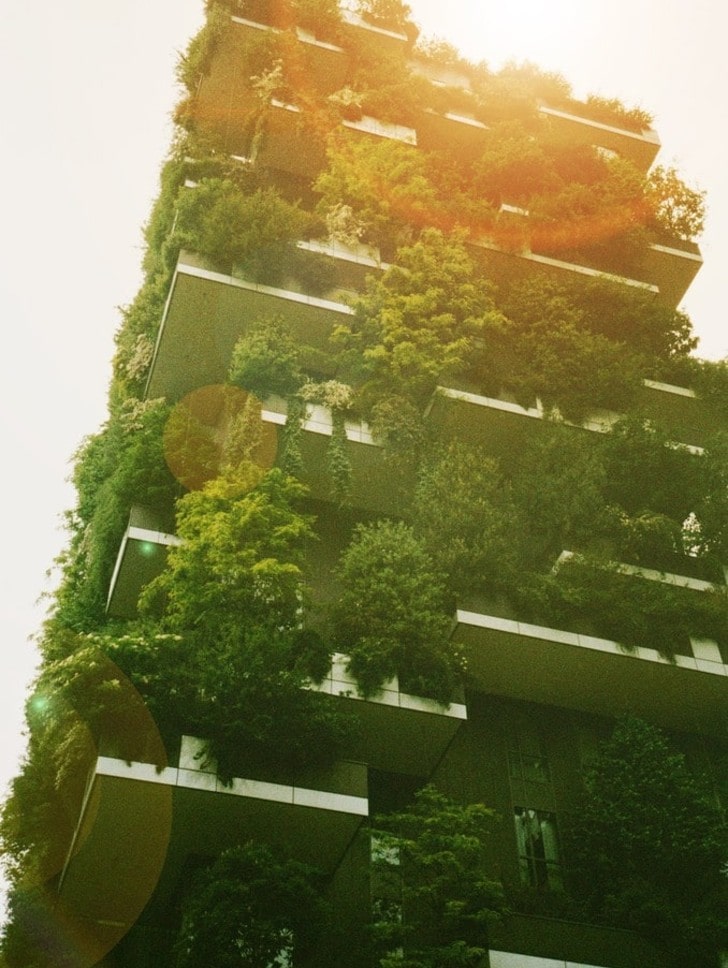 Building a Greener Tomorrow